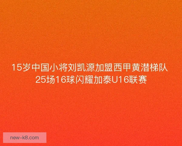 15岁中国小将刘凯源加盟西甲黄潜梯队 25场16球闪耀加泰U16联赛
