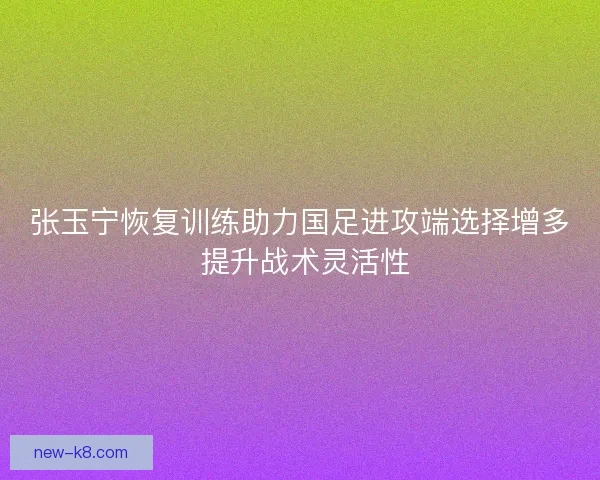 张玉宁恢复训练助力国足进攻端选择增多 提升战术灵活性 张玉宁恢复训练助力国足进攻端选择增多 提升战术灵活性