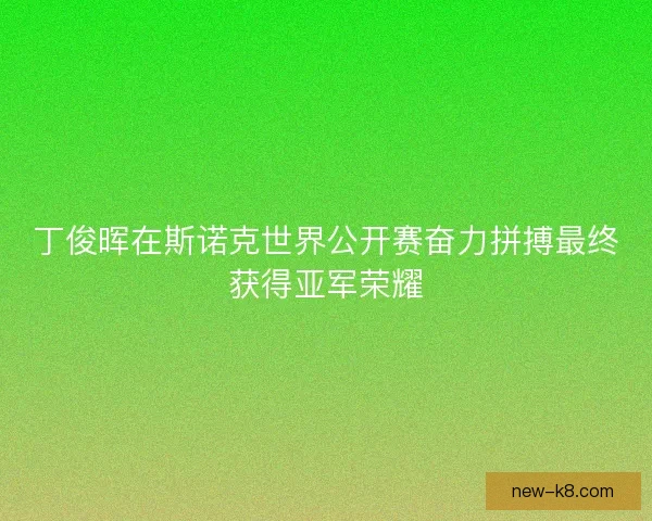 丁俊晖在斯诺克世界公开赛奋力拼搏最终获得亚军荣耀 丁俊晖在斯诺克世界公开赛奋力拼搏最终获得亚军荣耀